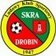 Skra Drobin