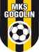 MKS GOGOLIN (b)