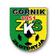 G�rnik Z�otoryja