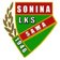 Sawa Sonina