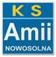 AMII Nowosolna