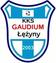 Gaudium ��yny