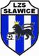 Lzs S�awice