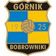 G�rnik Bobrowniki �l.