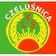 LKS Czelu�nica