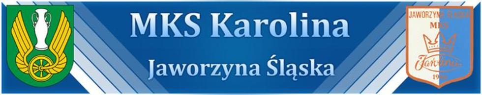 Strona klubowa