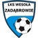 MKS Ka�czuga (b)