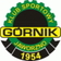 G�rnik Jaworzno