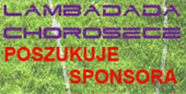 Sponsor poszukiwany