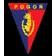 Stowarzyszenie KS PSN I