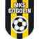 MKS Gogolin