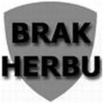 herb �wit Borowno