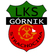G�rnik Strachocina