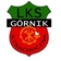 G�rnik Strachocina