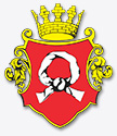 miasto Czarnk�w