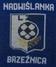 Nadwi�lanka Brze�nica