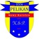 Pelikan Nowy Karolew